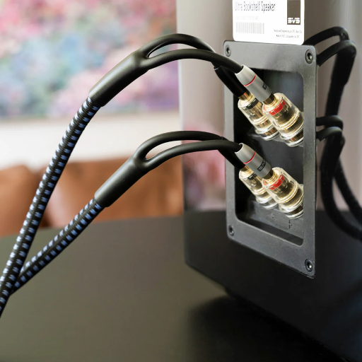 Advanced Features in Speaker Wire