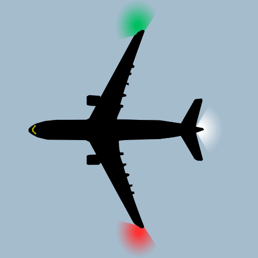 Understanding Flight Lights