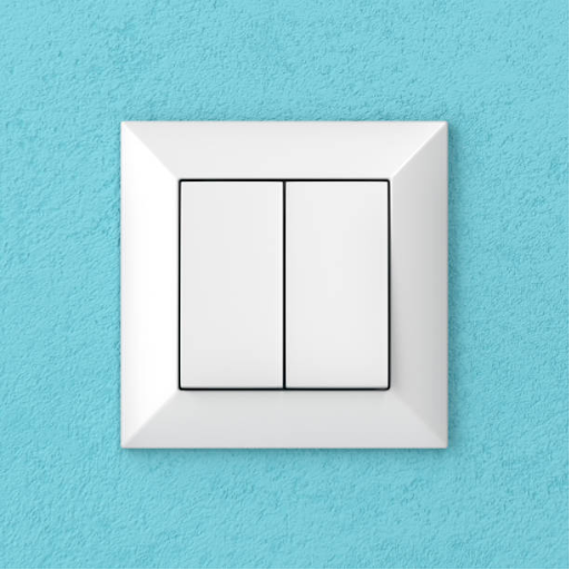 Choosing the Right Switch for Your Needs
