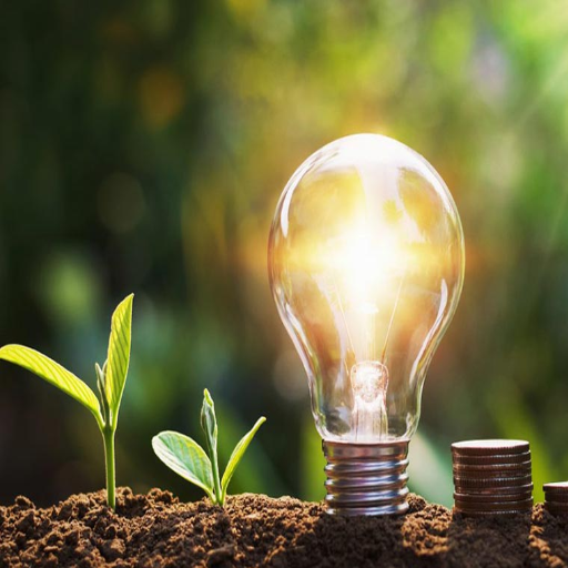 The Future of Energy Consumption